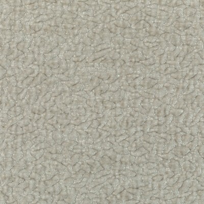 Kravet BARTON CHENILLE DOVE