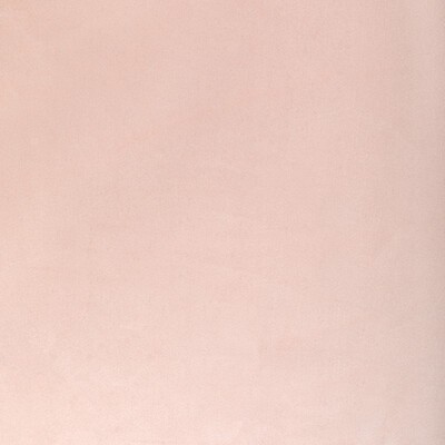 Kravet ROCCO VELVET BLOSSOM