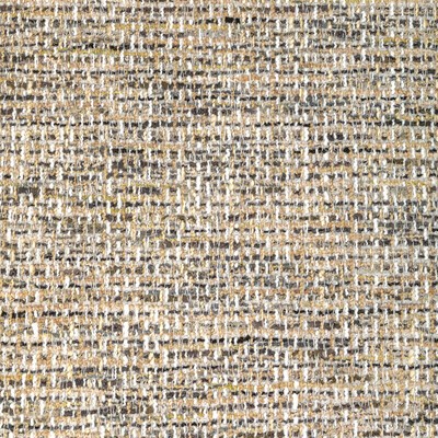 Kravet SALVADORE PEBBLE