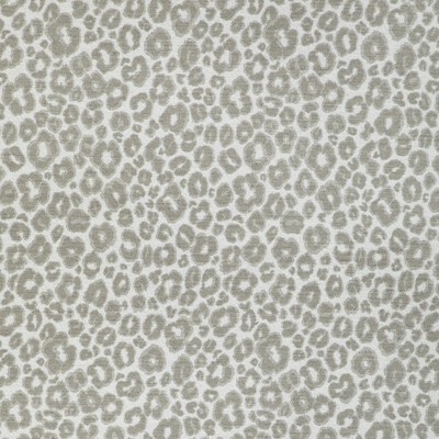 Kravet 36768 11