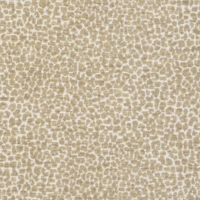 Kravet 36777 16