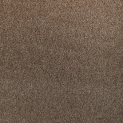 Kravet ALPACA DRIFT UMBER