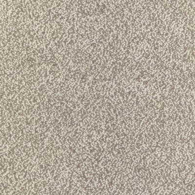 Kravet ALPACA BOUCLE FAWN