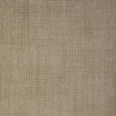 Kravet 36991 116