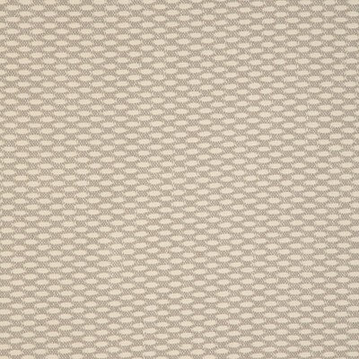 Kravet 37005 11