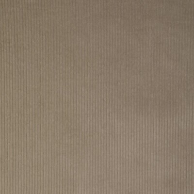 Kravet 37006 106