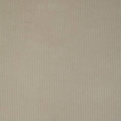 Kravet 37006 1601