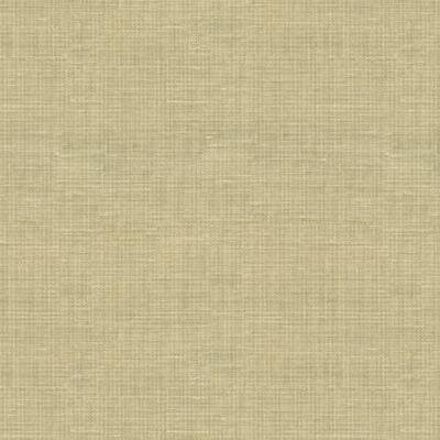 Kravet FAJAR SILVER LAKE