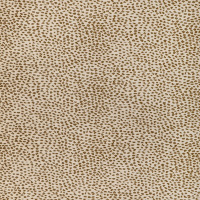 Kravet 37126 161
