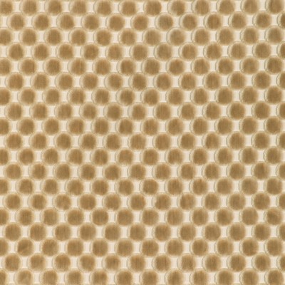 Kravet 37165 1116