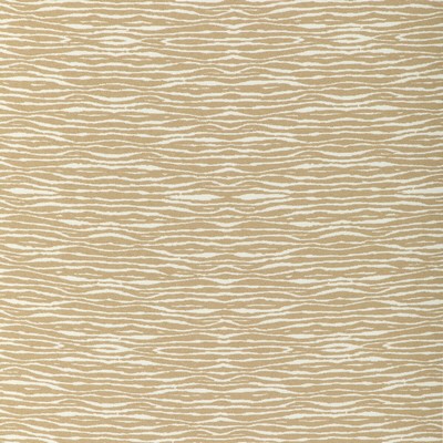 Kravet 37183 1161