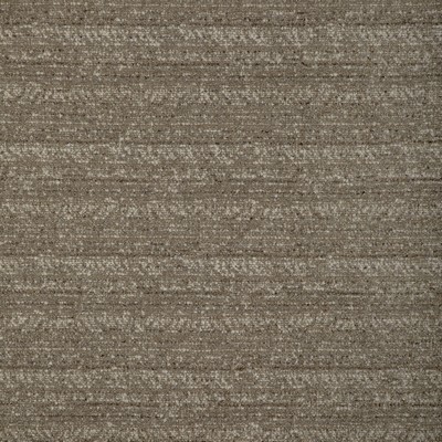 Kravet 37209 106