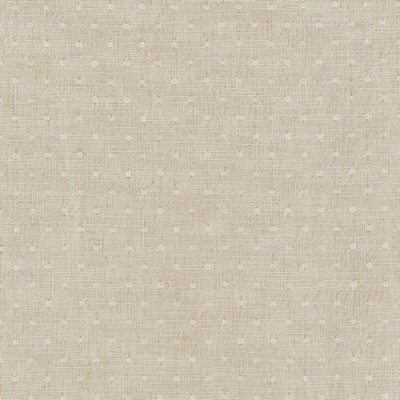 Kravet 37275 106