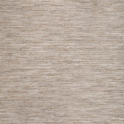 Kravet 37410 411