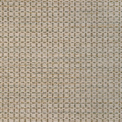 Kravet 37412 31