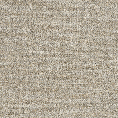 Kravet 37529 1611