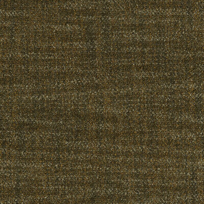 Kravet 37529 3