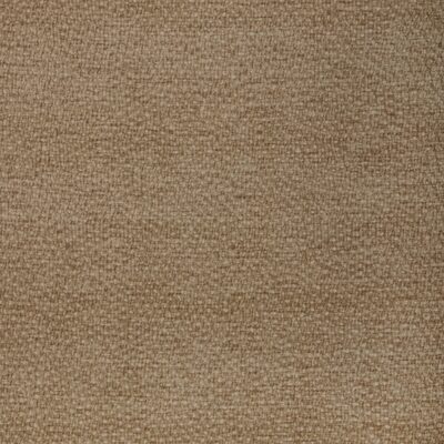 Kravet 37592 106