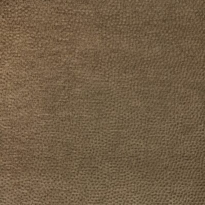 Kravet 37592 11