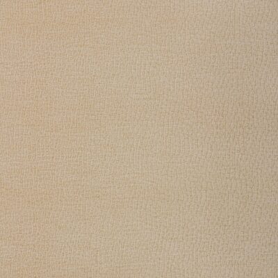 Kravet 37592 16
