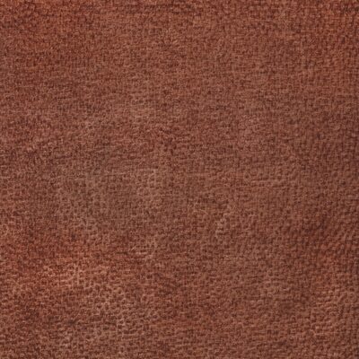 Kravet 37592 610
