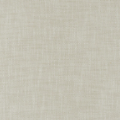 Kravet 37601 1161