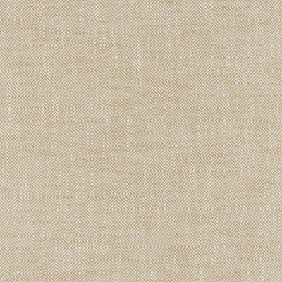 Kravet 37601 61