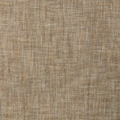 Kravet 37604 2111