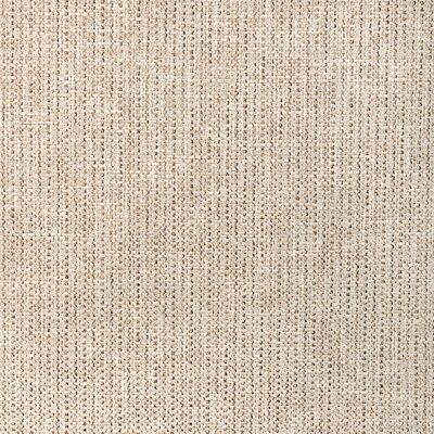 Kravet 37605 166