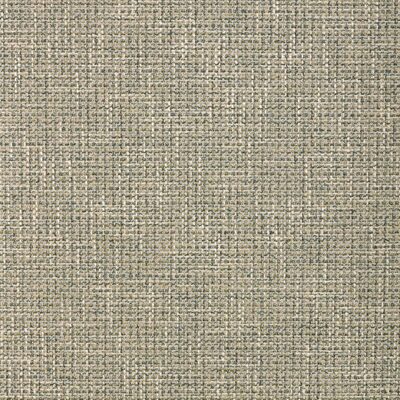 Kravet 37605 313