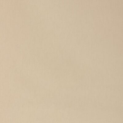 Kravet 37690 101