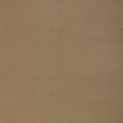 Kravet 37690 1116