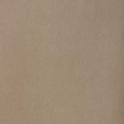 Kravet TEMPO OYSTER