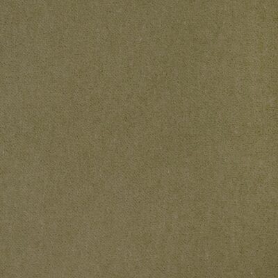 Kravet TEMPO PEAR