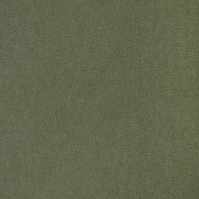 Kravet TEMPO PISTACHIO