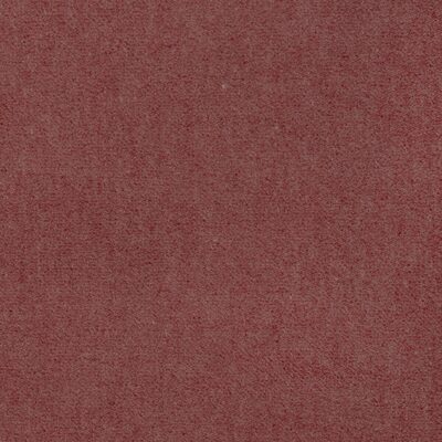Kravet TEMPO PETAL