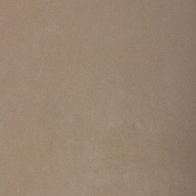 Kravet 37721 101
