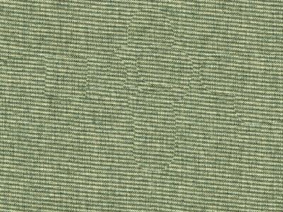 Kravet FINN GREEN TEA