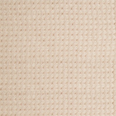 Kravet SCULPTURAL BLUSH