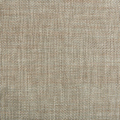 Kravet KRAVET CONTRACT 4458-1101