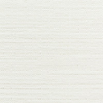 Kravet 4768 101