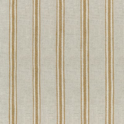 Kravet 4842 416