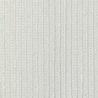 Kravet 4856 101
