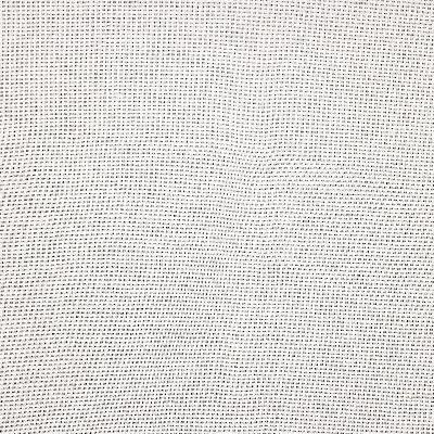 Kravet SHEER SPIN WHITE