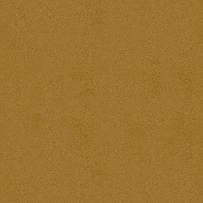 Kravet ABILENE SADDLE