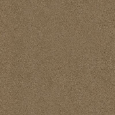 Kravet ABILENE STONE