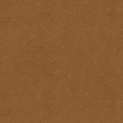 Kravet ABILENE BISCUIT