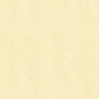 Kravet ABILENE FOSSIL