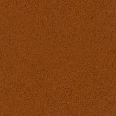 Kravet ABILENE PENNY