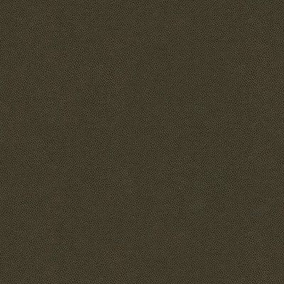 Kravet ABILENE STALLION